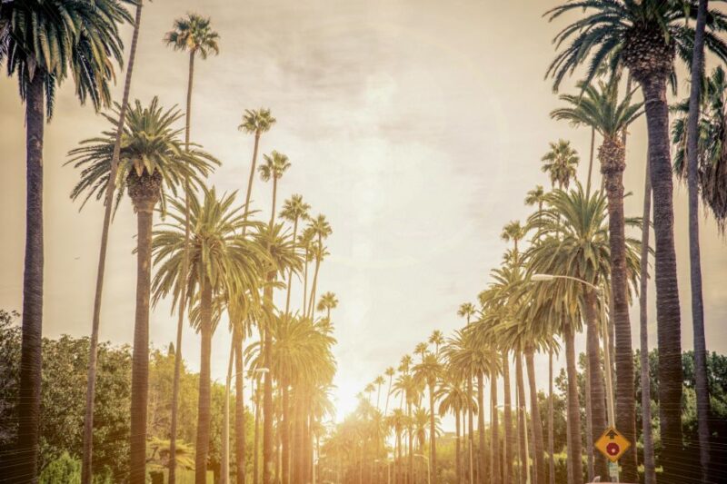 Los Angeles: LA in a Day Guided Electric Bike Tour - Cruising Through Marina del Rey and Culver City