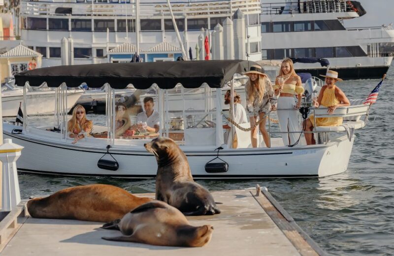 Los Angeles: Luxury Cruise with Wine, Cheese & Sea Lions - Wildlife Encounters: Sea Lions and Birds