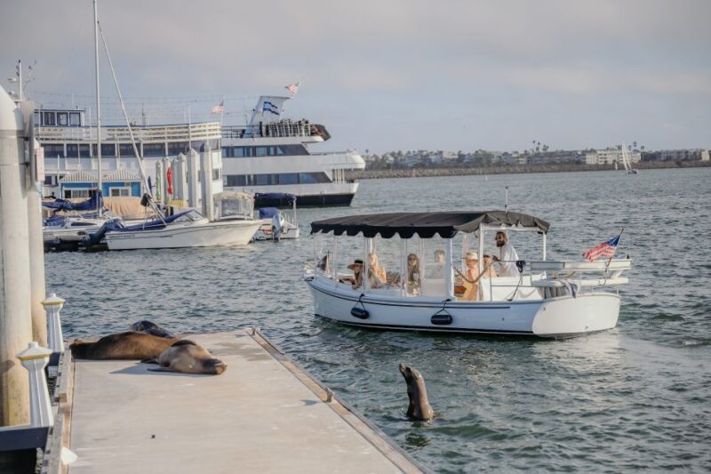 Los Angeles: Luxury Cruise with Wine, Cheese & Sea Lions - Comparing This Tour to Similar Options