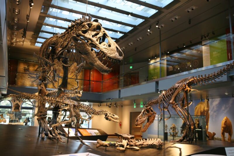 Los Angeles: Natural History Museum of LA Entry Ticket - Practical Details: Tickets, Entry, and Access