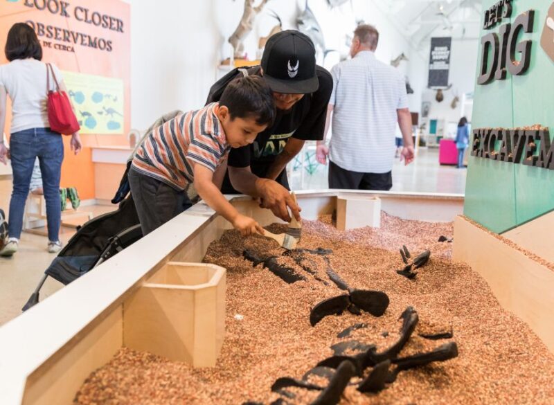 Los Angeles: Natural History Museum of LA Entry Ticket - The Overall Value and Who Will Enjoy This Tour