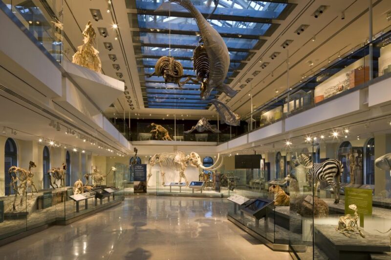 Los Angeles: Natural History Museum of LA Entry Ticket - The Sum Up: A Well-Rounded Natural History Experience in LA
