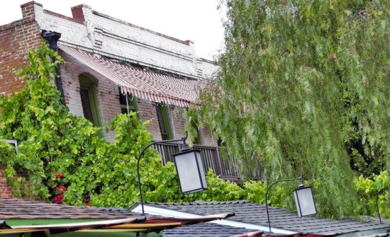 Los Angeles: Private 2-Hour Historic Tour - Pass by the Go For Broke Monument on the Way to the Japanese American National Museum