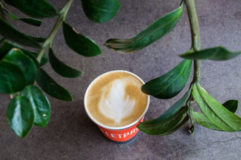 Los Angeles: Private Graffiti Tour in the Arts District - Concluding the Tour at Trendy Urth Cafe