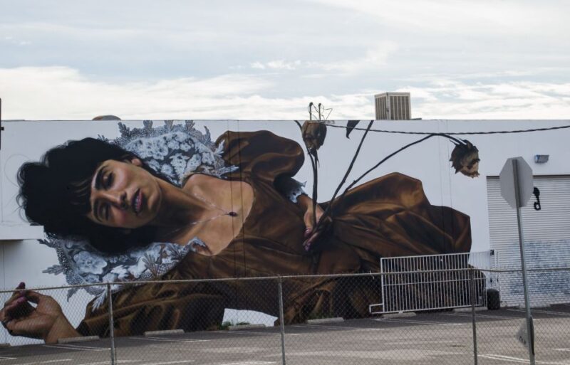 Los Angeles: Private Graffiti Tour in the Arts District - Practical Details and Booking Flexibility