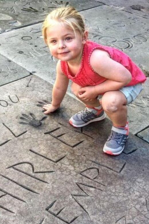 Los Angeles: Private Half Day City Tour - Comfortable Private Transportation and Convenience