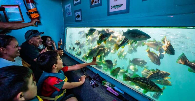 Los Angeles: Redondo Beach Glass Bottom Boat Cruise - The Experience of Viewing Marine Life Up Close