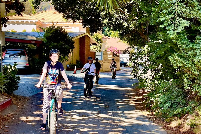 Los Angeles: Scott E-Bike Tours to the Hollywood Sign - Accessibility and Physical Requirements