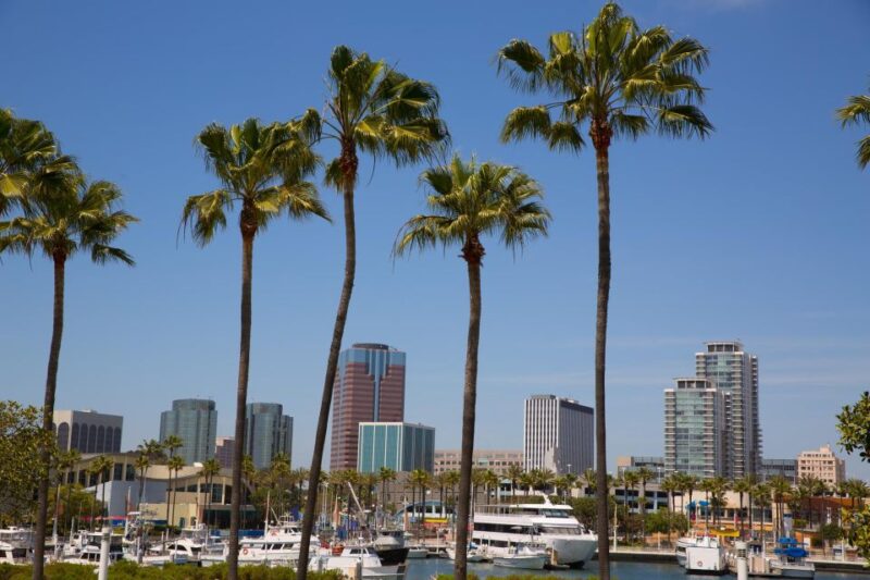Los Angeles Seaside Sites and Shoreline Village Private Tour - Logistics and Convenience for Tour Participants