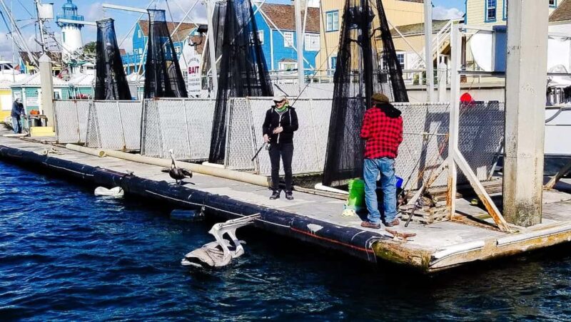 Los Angeles: Sunset Sailing - The Sailing Experience and Scenic Views