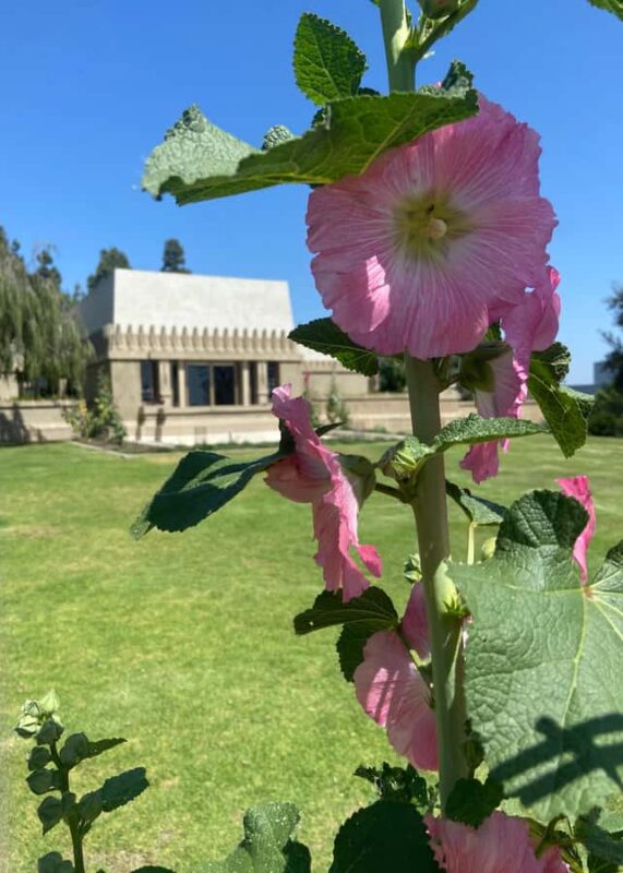 Los Angeles Taco Tour - Who This Taco Tour Is Best For