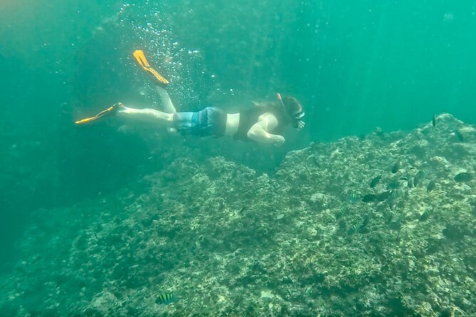 Los Arcos Snorkeling & 5 Island Adventure - Exploring Los Arcos de Mismaloya and the Marine Sanctuary