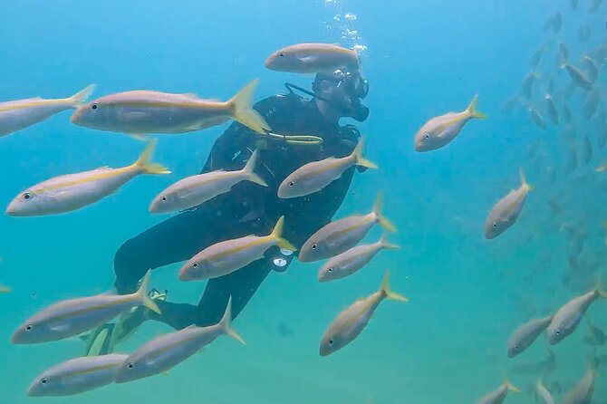 Los Cabos 2 tanks dive to The Corridor (Certified divers) - Expertise of the Guides: Knowledge and Customer Support
