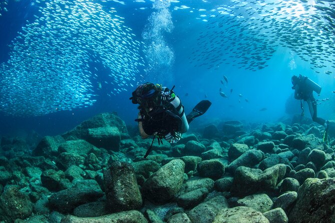 Los Cabos 2 tanks dive to The Corridor (Certified divers) - Flexibility and Cancellation Policies