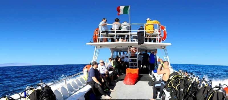 Los Cabos 3-Hour Certified Scuba Diving Tour - Practical Details: Equipment, Guides, and Group Size