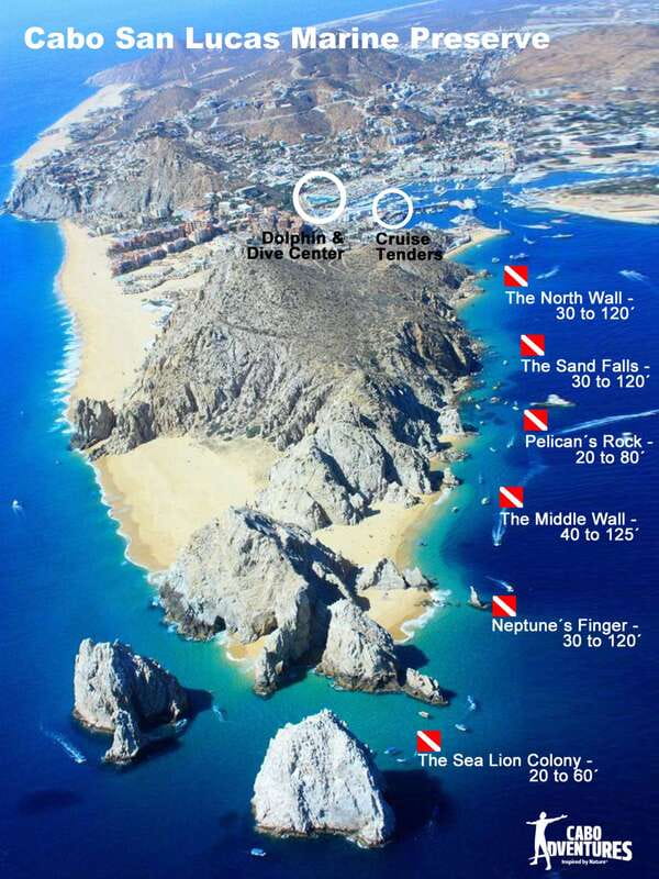 Los Cabos 3-Hour Certified Scuba Diving Tour - Timing, Booking Flexibility, and Additional Costs