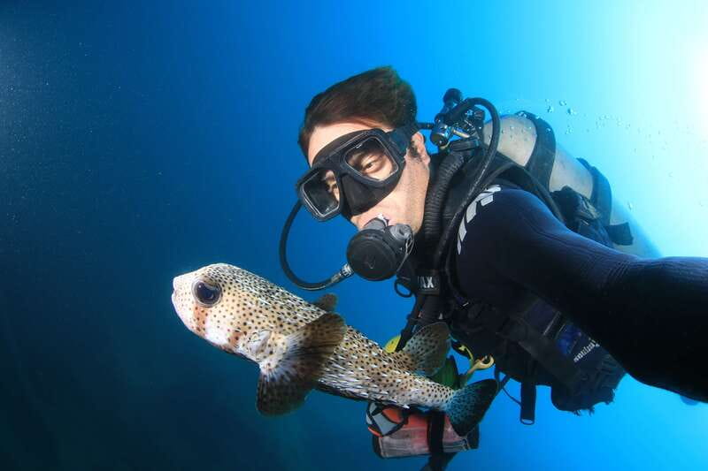 Los Cabos 3-Hour Certified Scuba Diving Tour - Why This Tour Stands Out in Cabo San Lucas