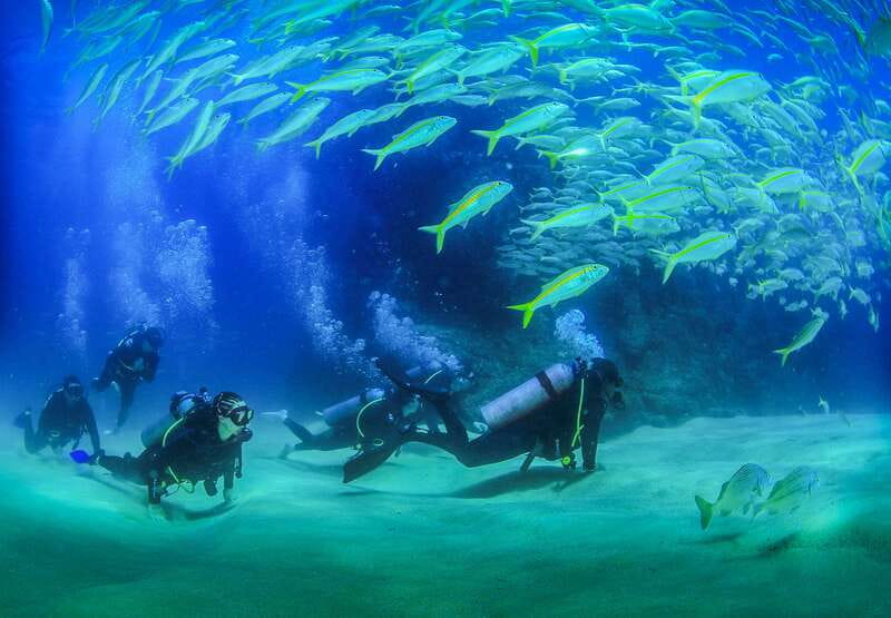 Los Cabos: 3-Hour Introductory Scuba Diving Adventure - An Affordable 3-Hour Introductory Scuba Experience in Los Cabos