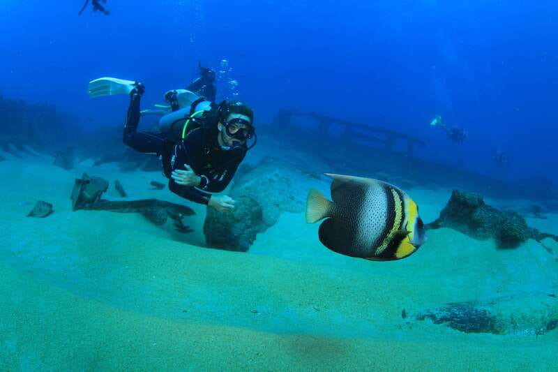 Los Cabos: 3-Hour Introductory Scuba Diving Adventure - Practical Details and Group Size