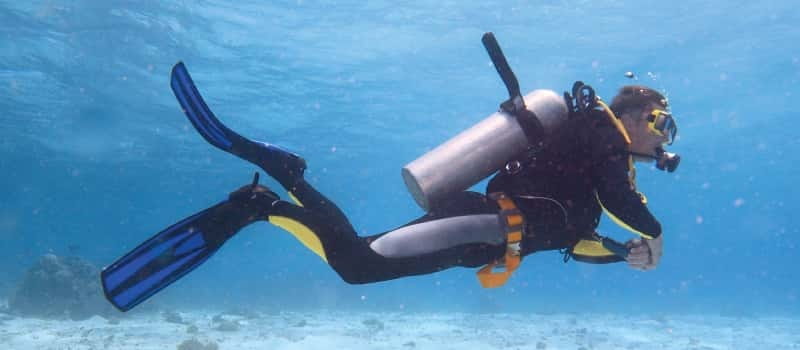 Los Cabos: 3-Hour Introductory Scuba Diving Adventure - Best Time to Dive for Maximum Visibility