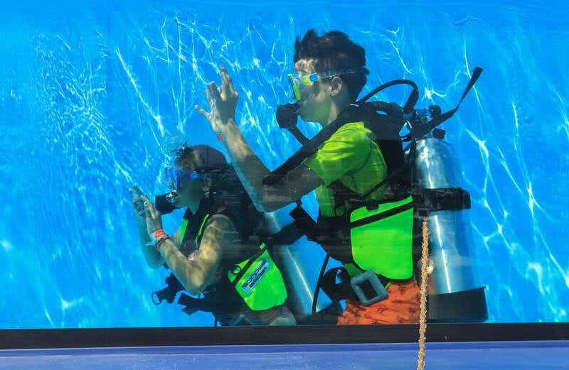 Los Cabos: 3-Hour Introductory Scuba Diving Adventure - Locations Visited: Pelican Rock, Land’s End, Neptune’s Finger, and More