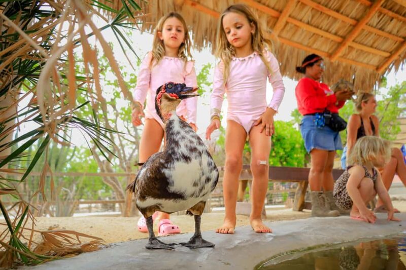 Los Cabos: Animal Encounter & Aqua Park Adventure - Key Points