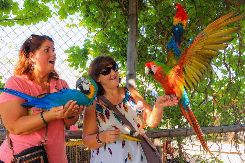 Los Cabos: Animal Encounter & Aqua Park Adventure - Wild Canyon’s Unique Animal Sanctuary in Baja California Sur