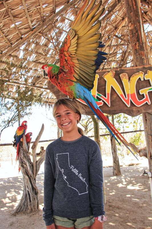 Los Cabos: Animal Encounter & Aqua Park Adventure - Scenic View of the Hanging Bridge