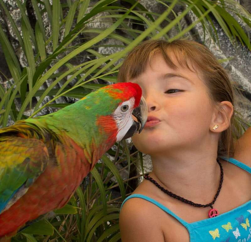 Los Cabos: Animal Encounter & Aqua Park Adventure - Eco-Learning and Conservation Focus