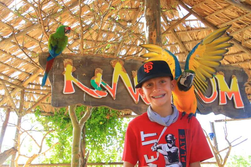 Los Cabos: Animal Encounter & Aqua Park Adventure - Tour Pacing and Duration