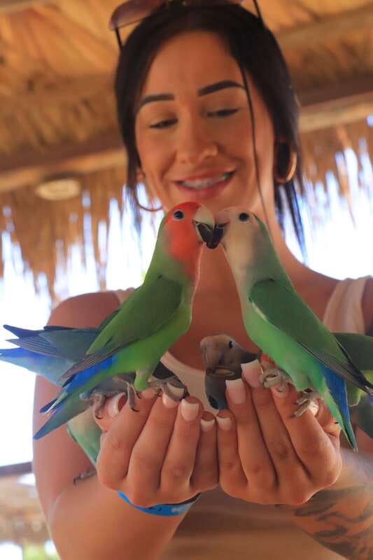 Los Cabos: Animal Encounter & Aqua Park Adventure - Reviews and Overall Satisfaction