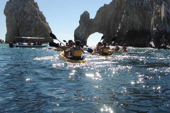 Los Cabos Arch and Playa del Amor Tour by Glass Bottom Kayak - The Role of Expert Guides