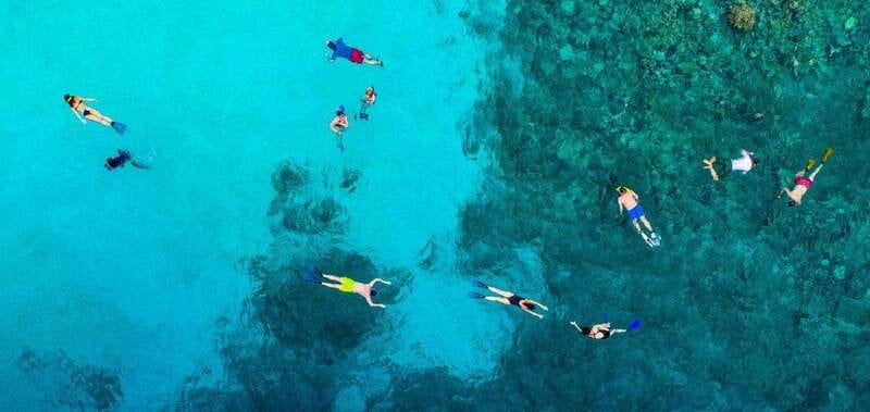 Los Cabos Arch & Lovers Beach Tour + Snorkeling Tour - Snorkeling at Pelican Rock: The Natural Aquarium