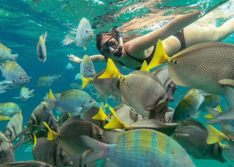 Los Cabos Arch & Lovers Beach Tour + Snorkeling Tour - Why This Tour Stands Out in Los Cabos