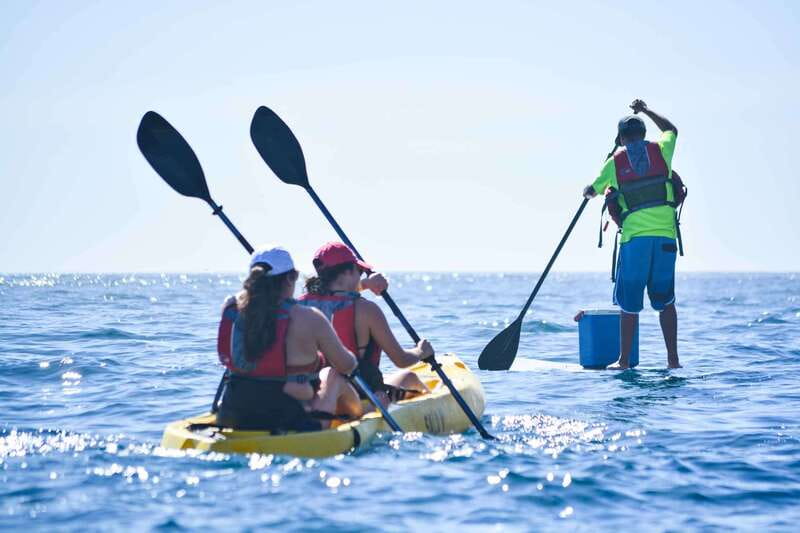 Los Cabos Arch & Playa del Amor Tour by Glass Bottom Kayak - Visiting the Sea Lion Colony and Marine Wildlife