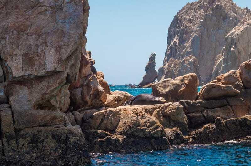 los cabos arch tour & drinks +snorkel tour - El Arco Photo Stop and Marine Wildlife Viewing
