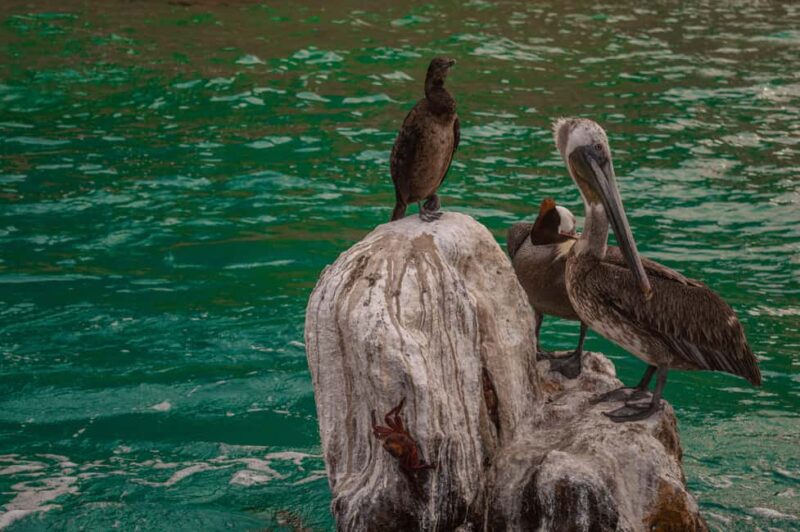 los cabos arch tour & drinks +snorkel tour - Comfort and Facilities on the Boat