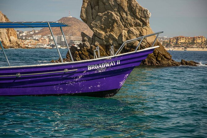 Los Cabos: Arch´s Tour With Free time at Lovers Beach - Practical Details: Meeting, Duration, and Group Size