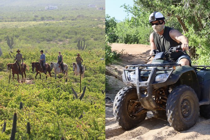Los Cabos ATV and Pacific Horseback Riding Combo Tour - Key Points