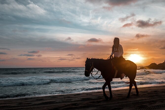 Los Cabos ATV and Pacific Horseback Riding Combo Tour - The Scenic Stop at Rancho Carisuva and Baja Terrain