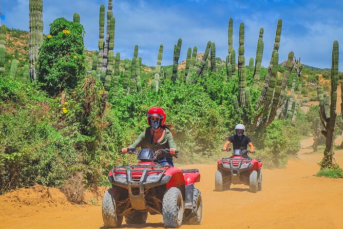 Los Cabos ATV Tour Double Rider - The Experience: Desert, Dunes, and Coastal Views