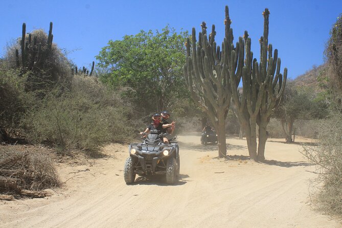 Los Cabos Beach & Desert Tour in Automatic ATV + Tequila Tasting - Practical Details: Timing, Crowd Levels, and Booking Tips