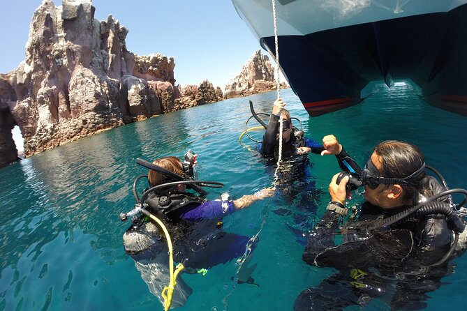 Los Cabos Beginner Scuba Dive Experience - Accessibility and Comfort Onboard the Catamaran