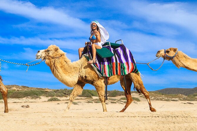 Los Cabos Camel Ride Adventure On The Beach - Discover the Los Cabos Camel Ride Adventure on the Beach at $98.10 per person