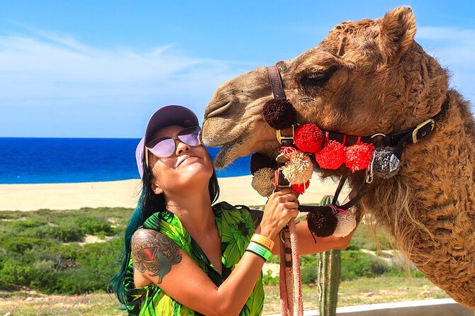 Los Cabos Camel Ride Adventure On The Beach - Convenient Pickup and Transportation in Los Cabos