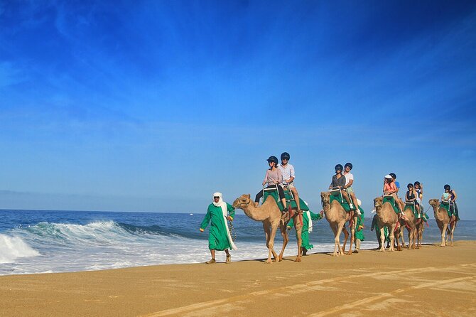 Los Cabos Camel Ride Adventure On The Beach - Booking and Cancellation Policies