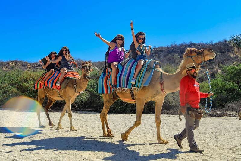 Los Cabos: Camel Ride in the Canyon & Thrilling Water-Slides - Additional Costs and Considerations