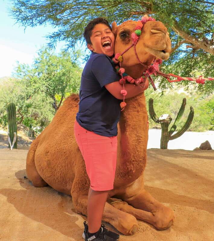 Los Cabos: Camel Ride in the Canyon & Thrilling Water-Slides - Why This Tour Appeals to Specific Travelers