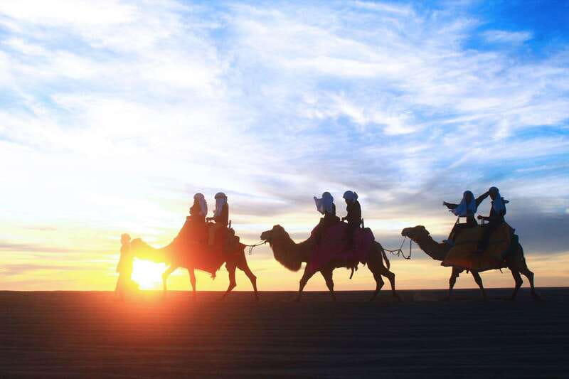 Los Cabos: Camel Ride Safari with Lunch and Tequila Tasting - Key Points