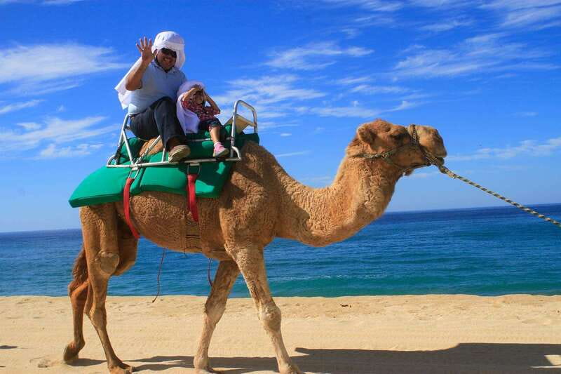Los Cabos: Camel Ride Safari with Lunch and Tequila Tasting - Physical Requirements and Safety Considerations